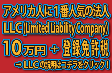 AJLLC(Limited Liability Company)ݗs̓R`